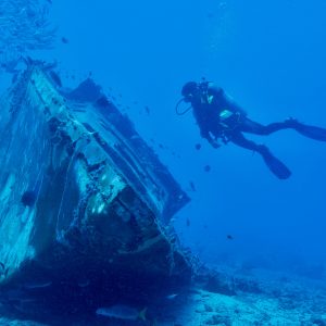 Wreck diver