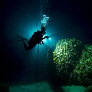 Night Dive
