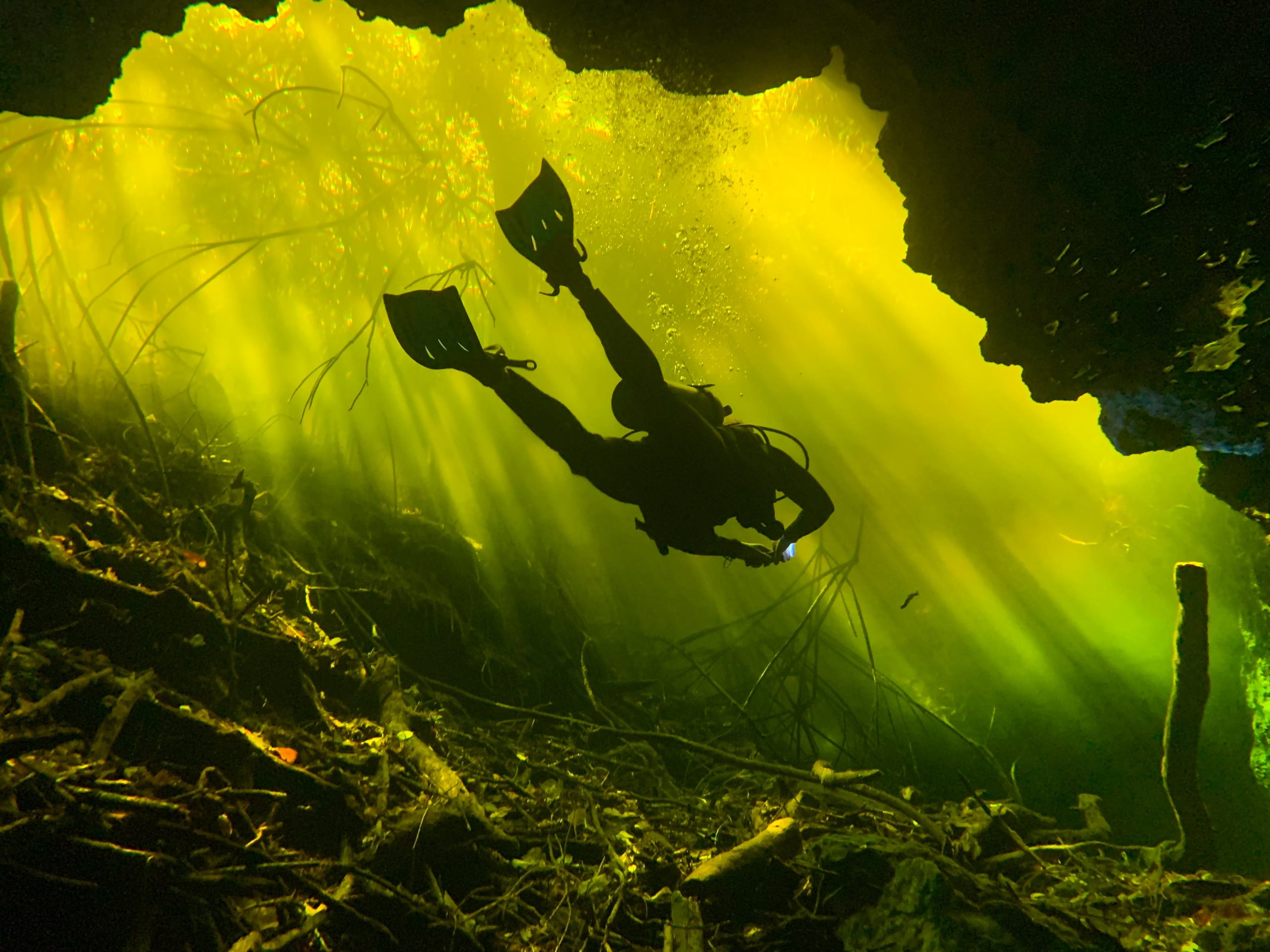 weirdest dive sites in the world