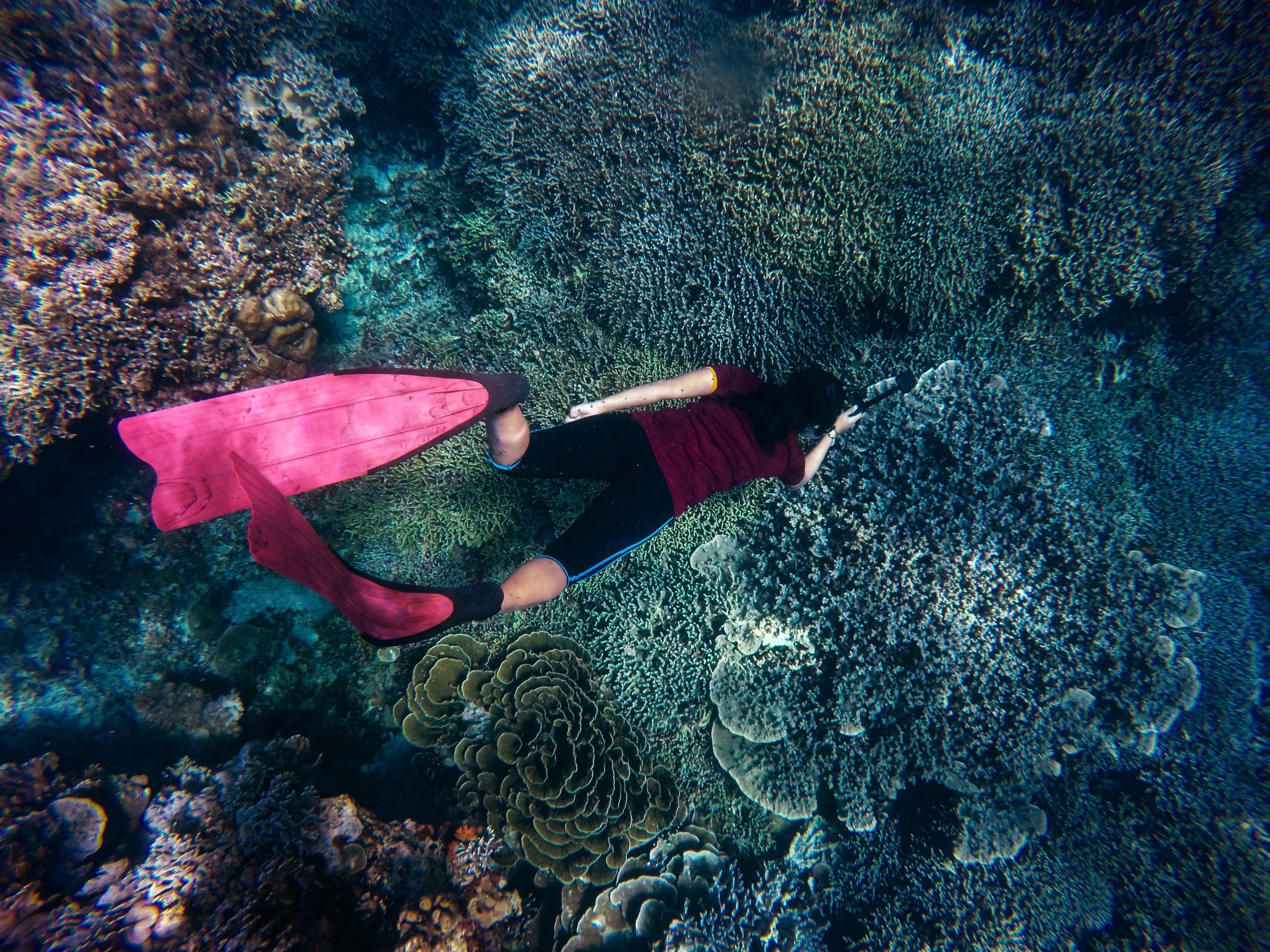 The scuba diving adventure