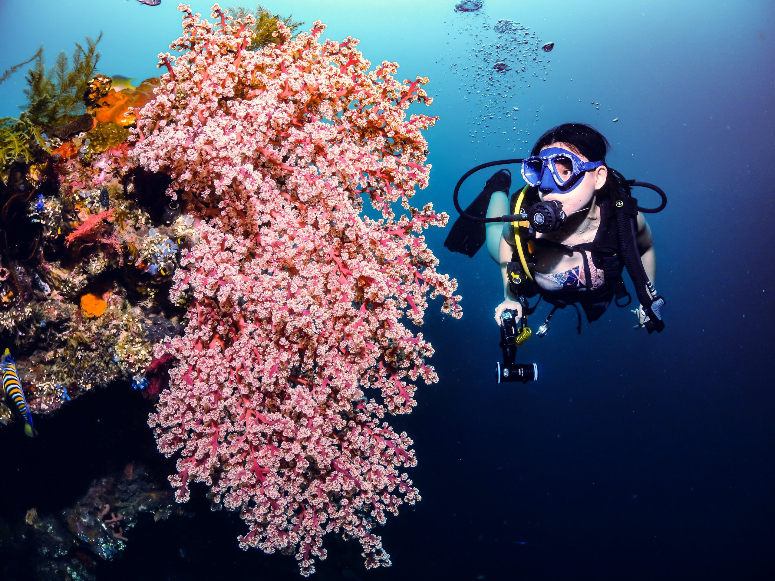Different types of scuba diving