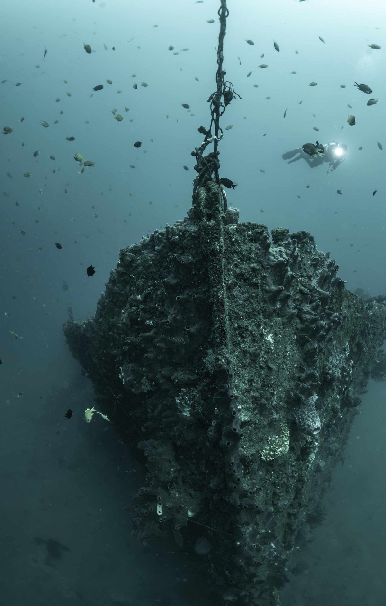 wreck diving site