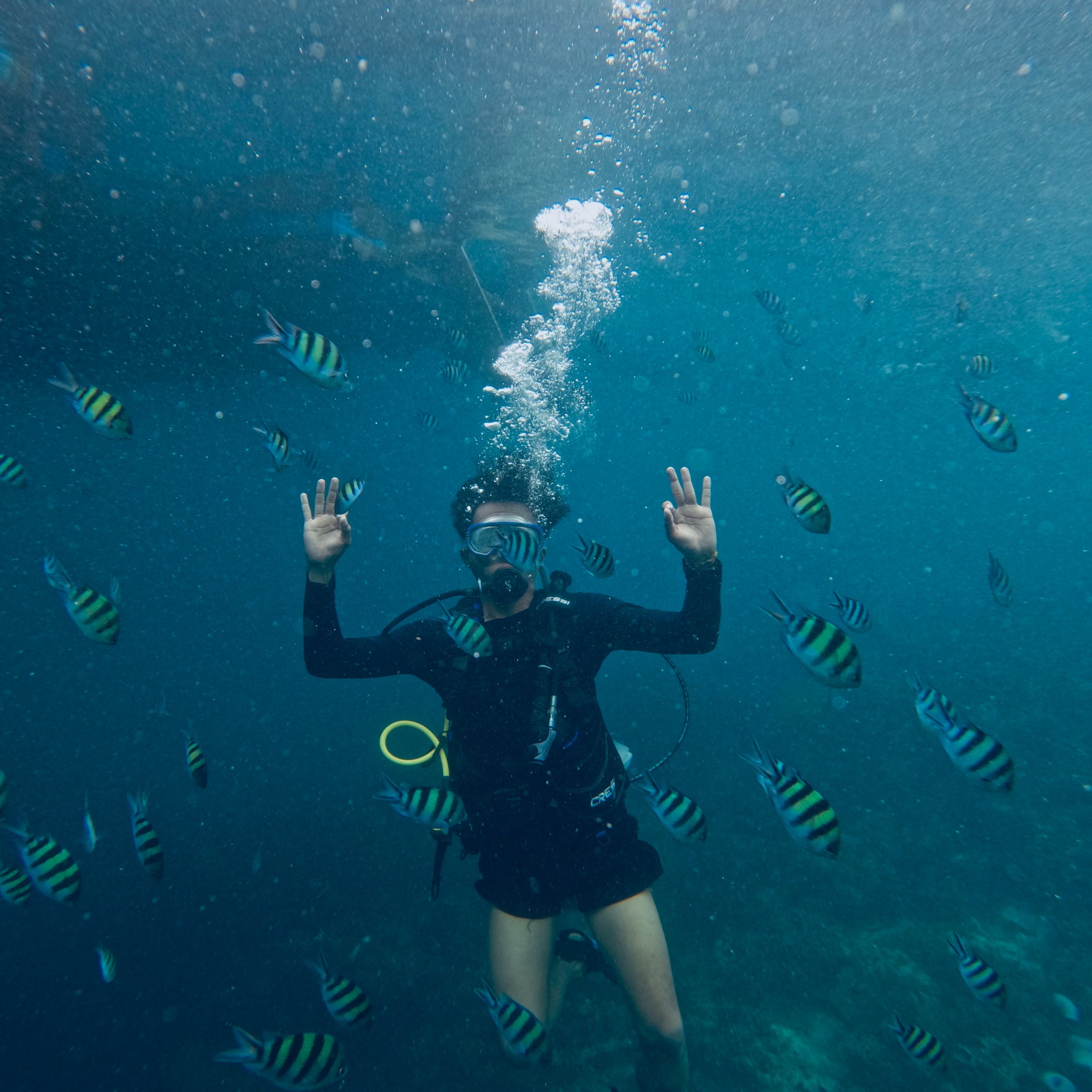 Diving hand signals