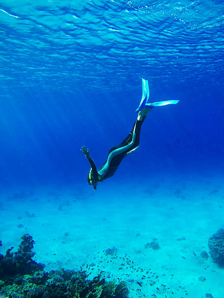 A freediver