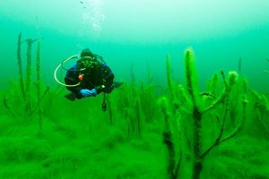 How to deal with a free flowing regulator
