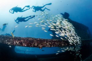 Tips for wreck diving