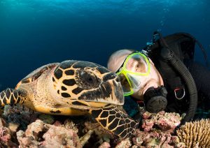 A diver with a turtle