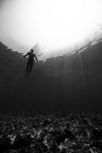 Diving in black and white