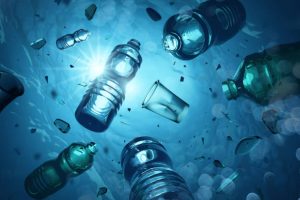Plastic pollution in the ocean