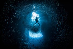 Ascending scuba diver