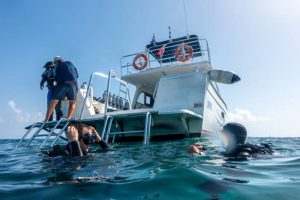 Divers after a dive