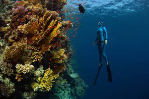 A freediver