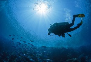Mastering the art of safety stops