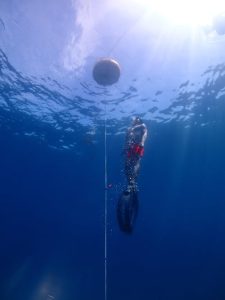 Using underwater lines while low visibility diving