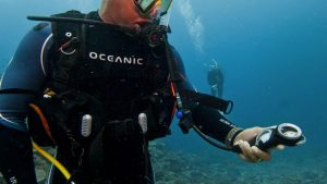 A scuba diver navigating underwater