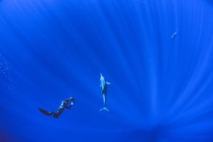 How to master freediving photography