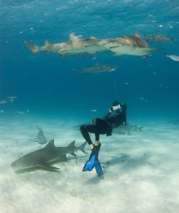 A freediving photographer taking a shot