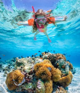 Snorkelling