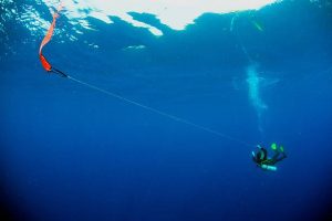 Scuba diving and stress relief