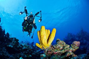 An underwater photographer
