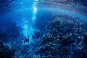 Diving insurance