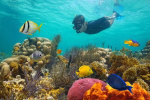 How to clean your snorkeling gear