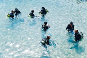 Shore divers