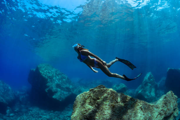 How to clean your wetsuit