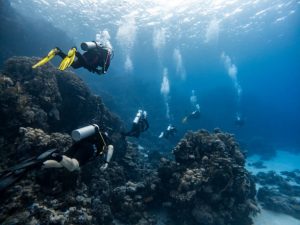 Scuba divers in groub