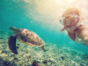Snorkeling with turtles