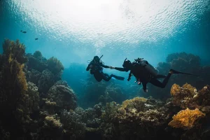 2 scuba divers hovering in the middle of the water