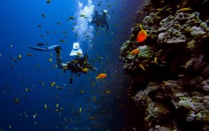2 scuba divers