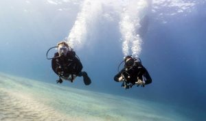 Two scuba divers