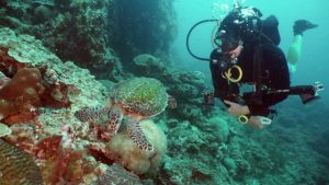 Unusual places for scuba diving