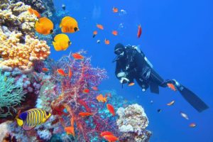 How to avoid panicking while scuba diving