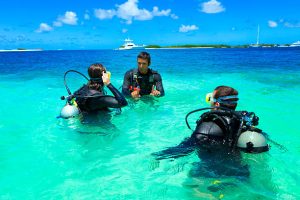 A group of scuba divers in the water