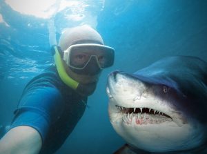A scuba diver taking a selfie with a shark