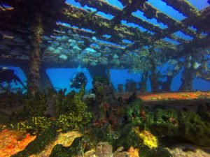 The Underwater Art Museum in Cancun National Marine park of MexicoÂ