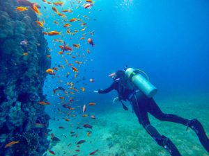 Why you shouldn't drink alcohol when scuba diving