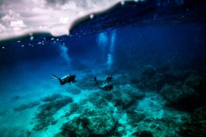 Scuba divers underwater