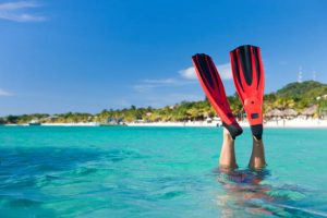Scuba blade fins