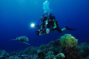 A scuba diver using underwater camera