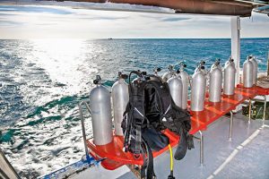 Buoyancy compensator device