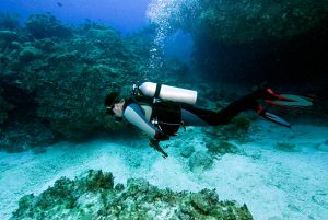 A scuba diver underwater