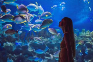 A girl enjoy her time in an aquarium