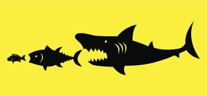 a shark feeding on its prey