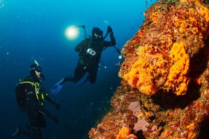 two scuba divers communicating underwater