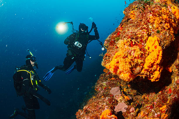 an underwater photographer