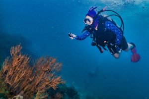 a scuba diving blogger