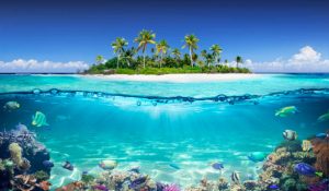 Fabulous Shore Diving Destinations in Oahu
